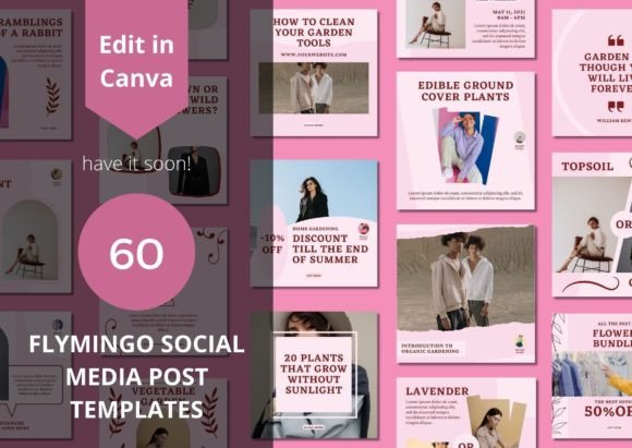 60 Flymingo Social Media Canva Templates: Your Content Creation Kit